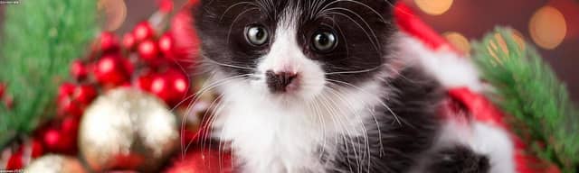 OxWttcKm