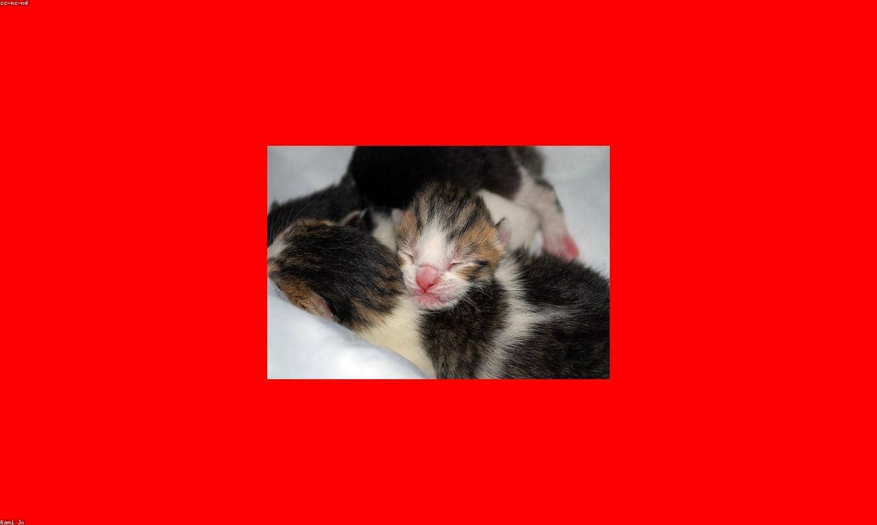 Test_SBgjSrznWA