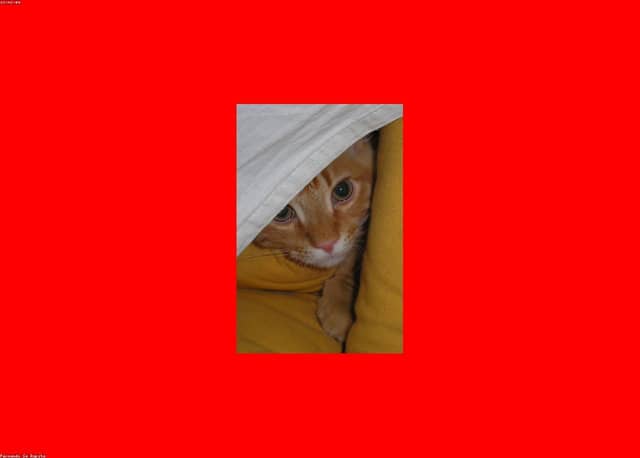 dpwm77fqvF