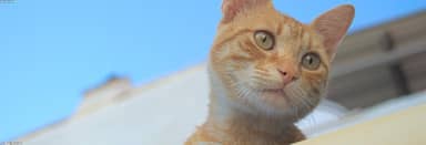 311712101_test_media_1735x591.jpg
