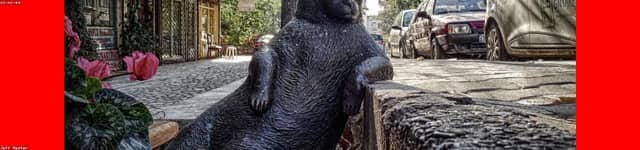 bONNSPkO